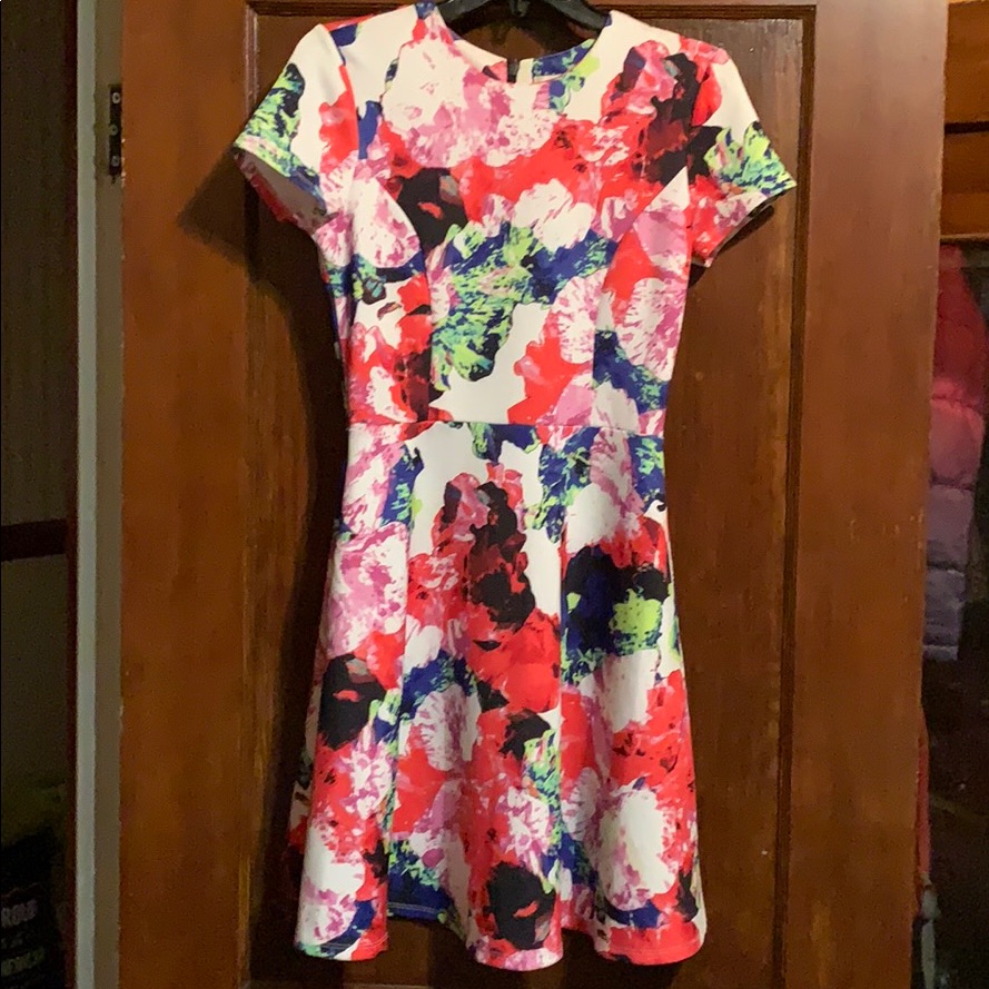 Multi Colored Dess